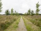 Meer dan landbouw: de veelzijdige waarde van voedselbossen