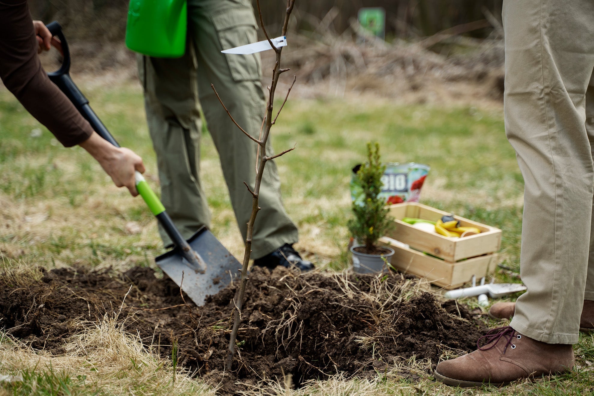 Working Spirit maakt impact met bomen