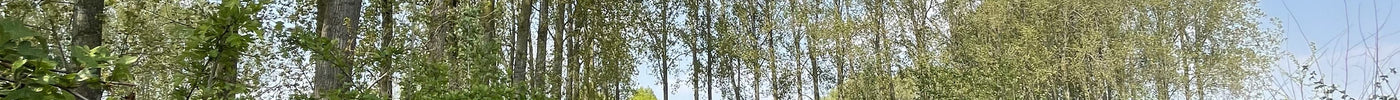 Samenwerking Boes Bos en Stichting Voedselbosbouw