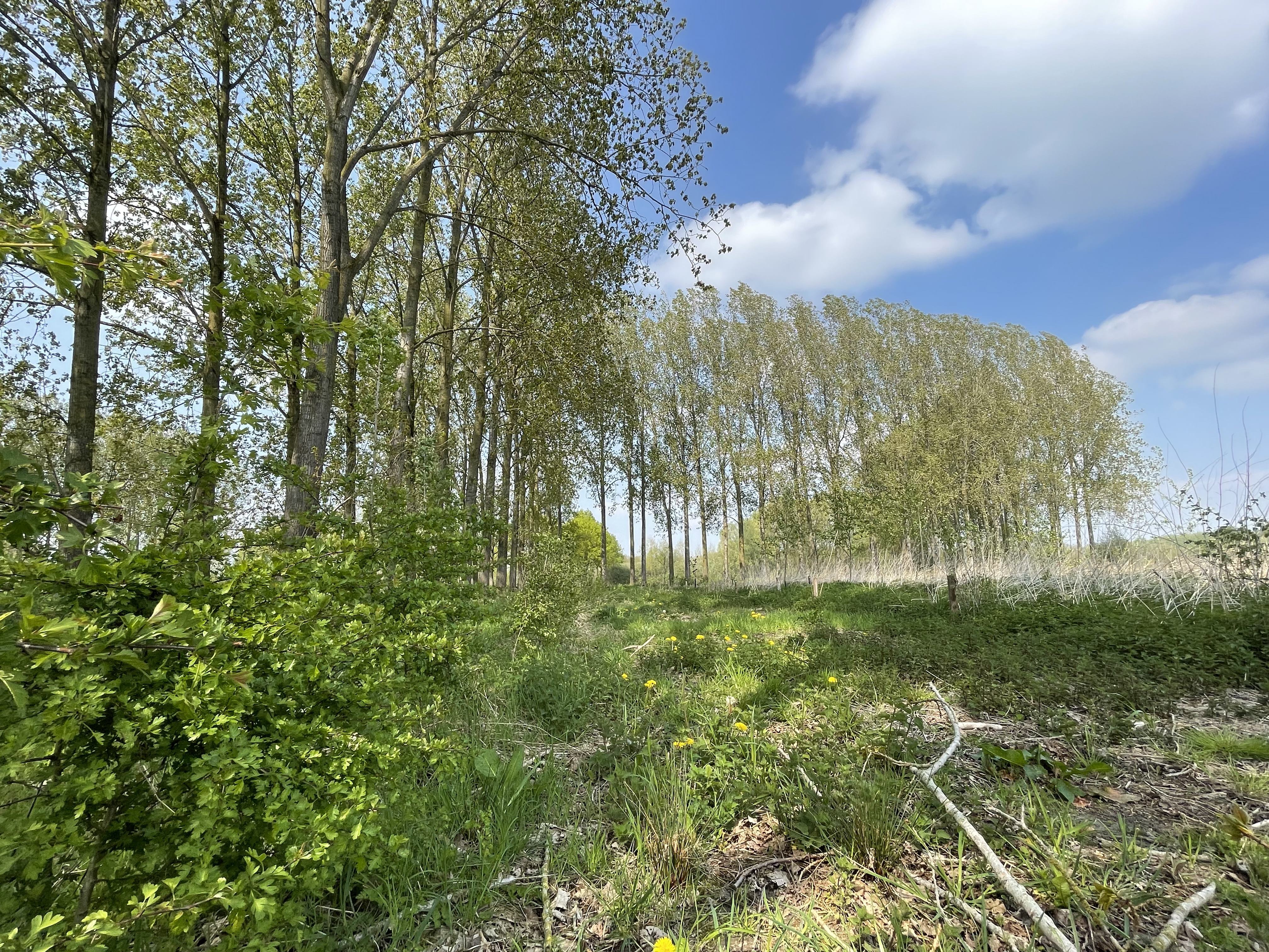 Samenwerking Boes Bos en Stichting Voedselbosbouw
