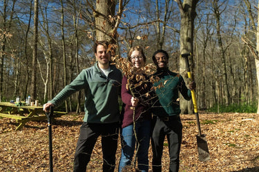 Bomen planten