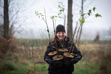 Biodiversiteit bevorderen